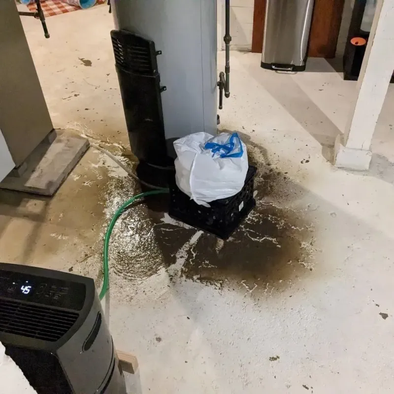 Sewage Backup Cleanup Service in Lorain County, OH
